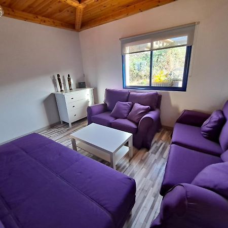 Tenerife Apartment 100M2 Casa De Don Quijote With A Terrace Of 100M2 With A View Of The Ocean And Teide Volcano And A Garden Of 600M2 Ікод-де-лос-Вінос Екстер'єр фото