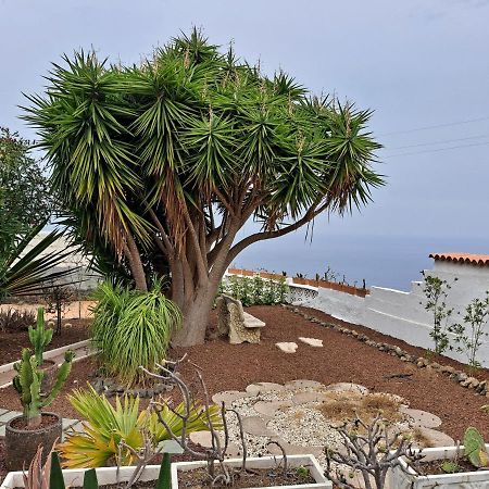 Tenerife Apartment 100M2 Casa De Don Quijote With A Terrace Of 100M2 With A View Of The Ocean And Teide Volcano And A Garden Of 600M2 Ікод-де-лос-Вінос Екстер'єр фото