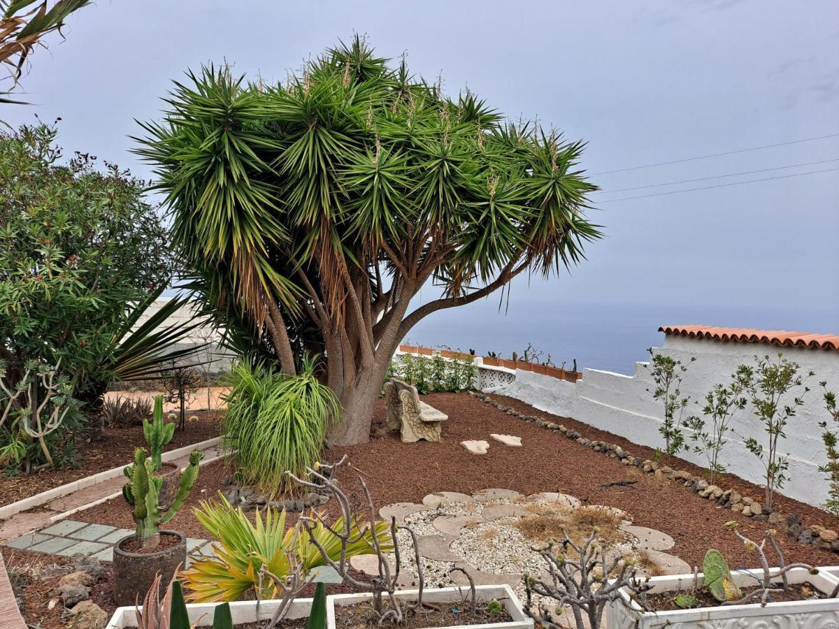 Tenerife Apartment 100M2 Casa De Don Quijote With A Terrace Of 100M2 With A View Of The Ocean And Teide Volcano And A Garden Of 600M2 Ікод-де-лос-Вінос Екстер'єр фото
