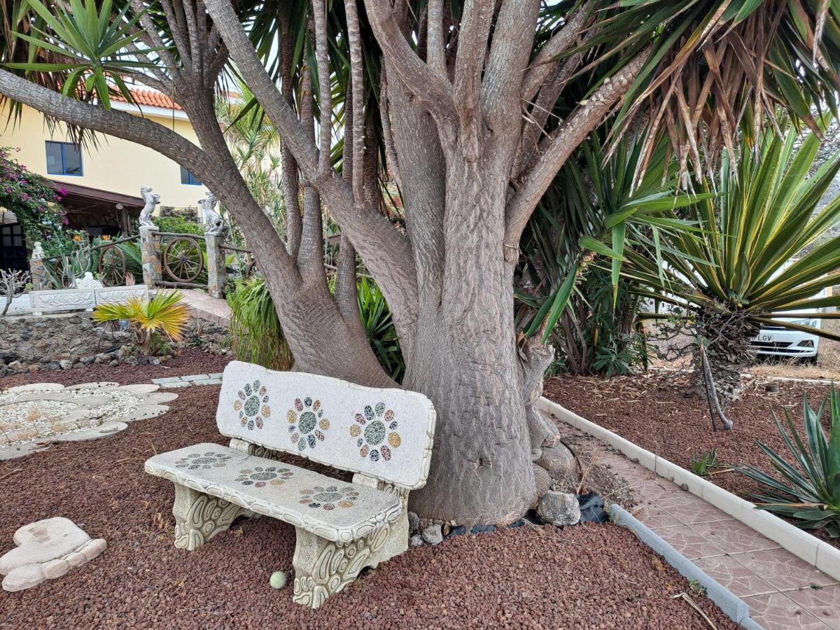 Tenerife Apartment 100M2 Casa De Don Quijote With A Terrace Of 100M2 With A View Of The Ocean And Teide Volcano And A Garden Of 600M2 Ікод-де-лос-Вінос Екстер'єр фото